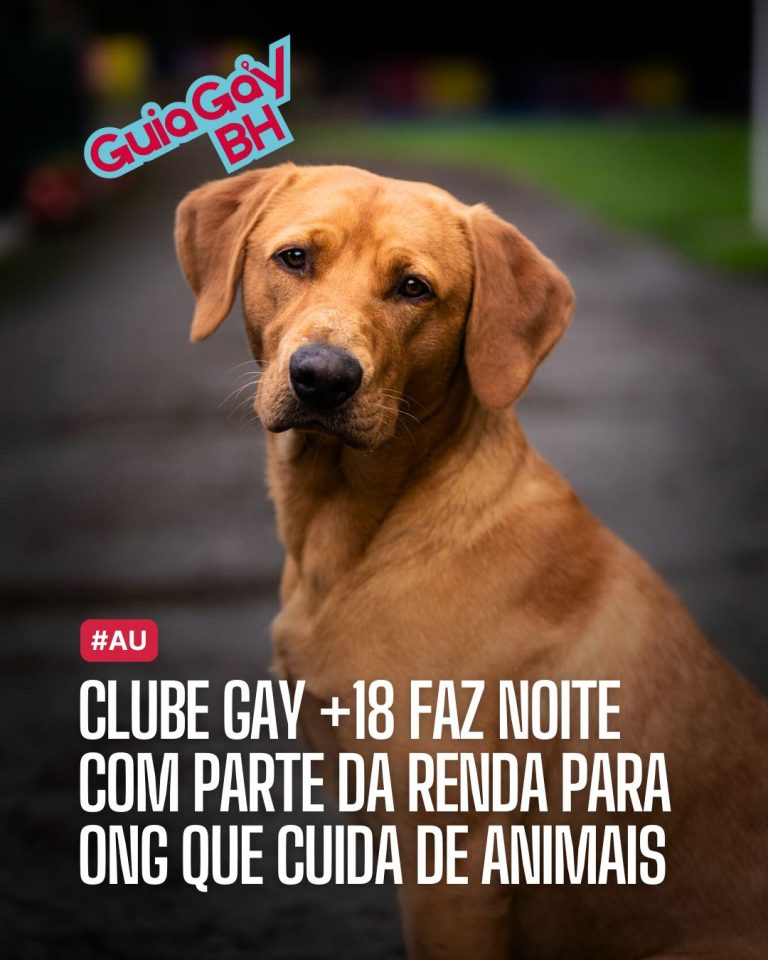 cachorro bh dedalos